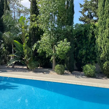 Samantha パラリムニ